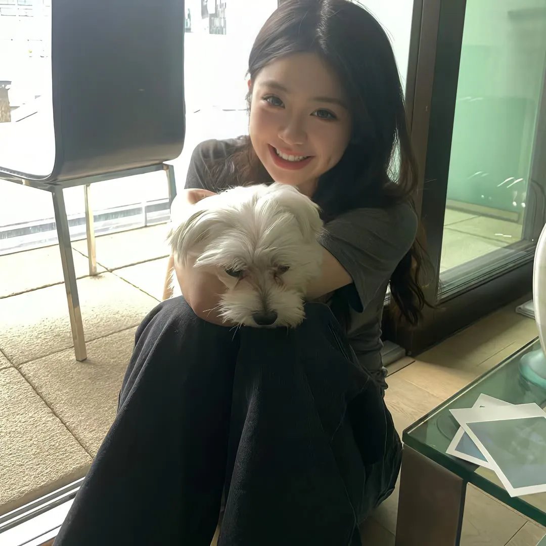 萌犬好声音4 在线观看